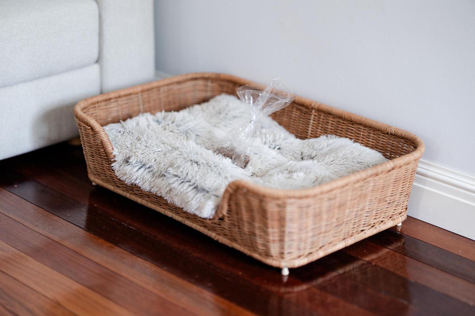 Cottage On Lamington Canungra Ngoại thất bức ảnh